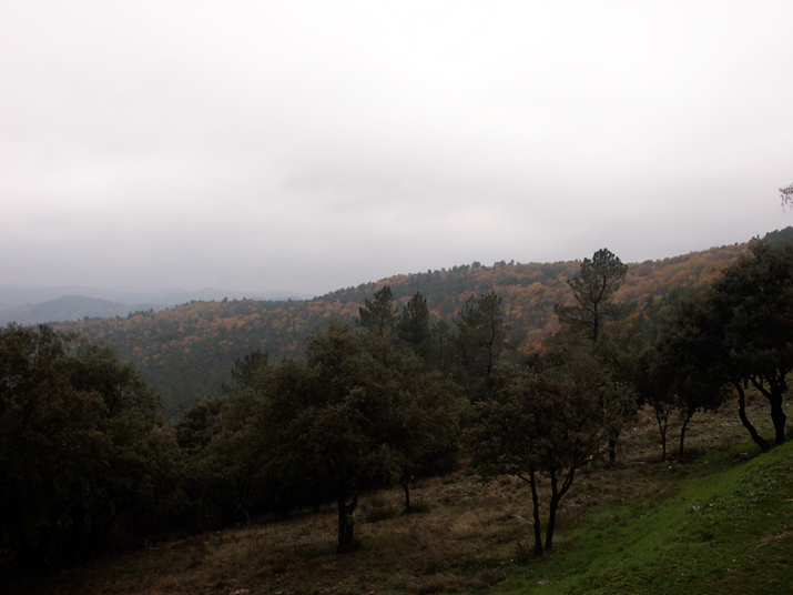 2005-11 WE Cevennes 040.jpg - DCF 1.0